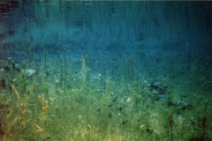 Underwater_12